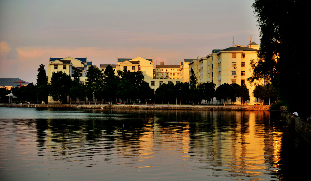dsc_5342.jpg