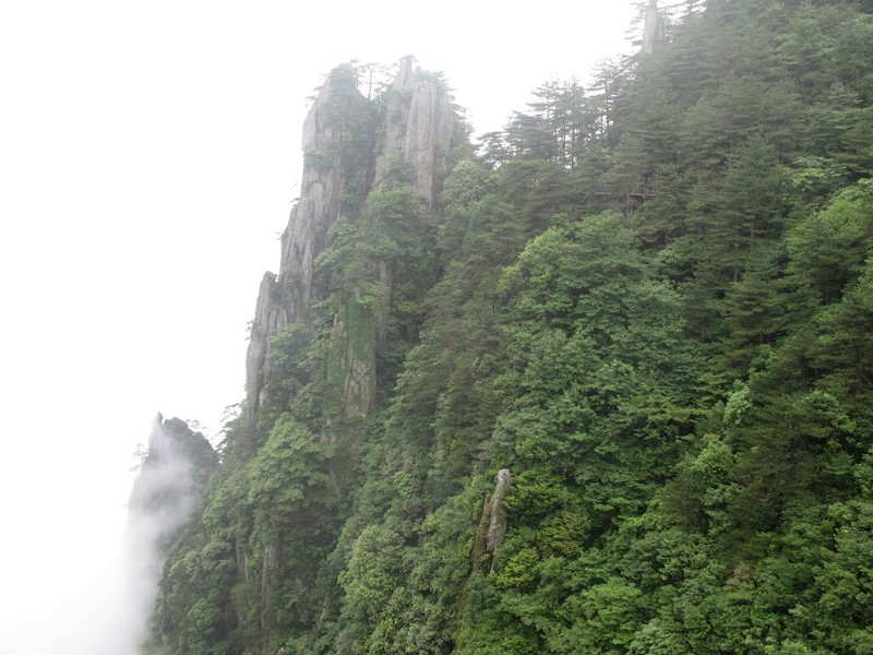 simg_0846.jpg