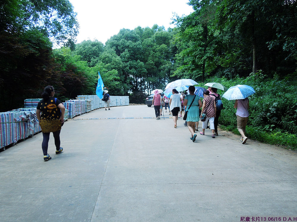 dscn0531.jpg