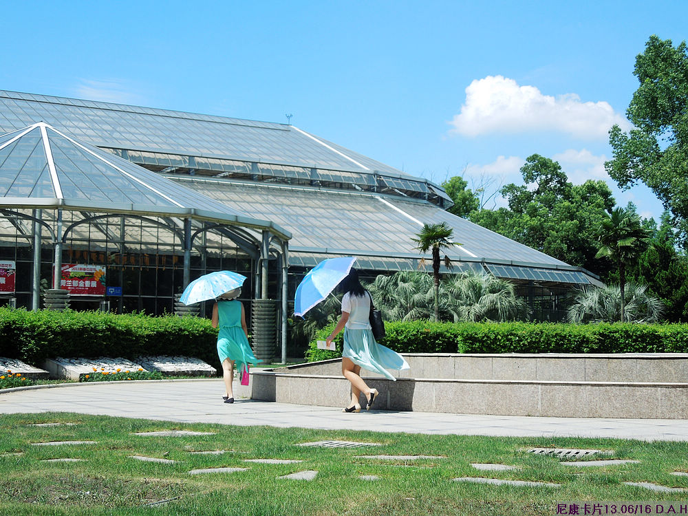 dscn0590.jpg