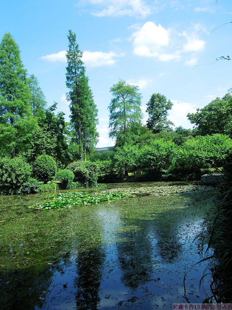 dscn0593.jpg