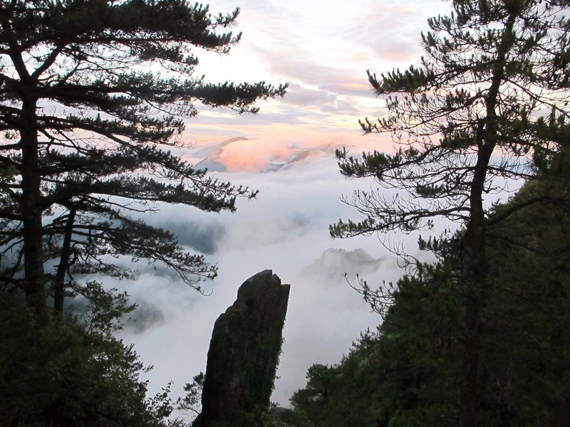simg_0854.jpg