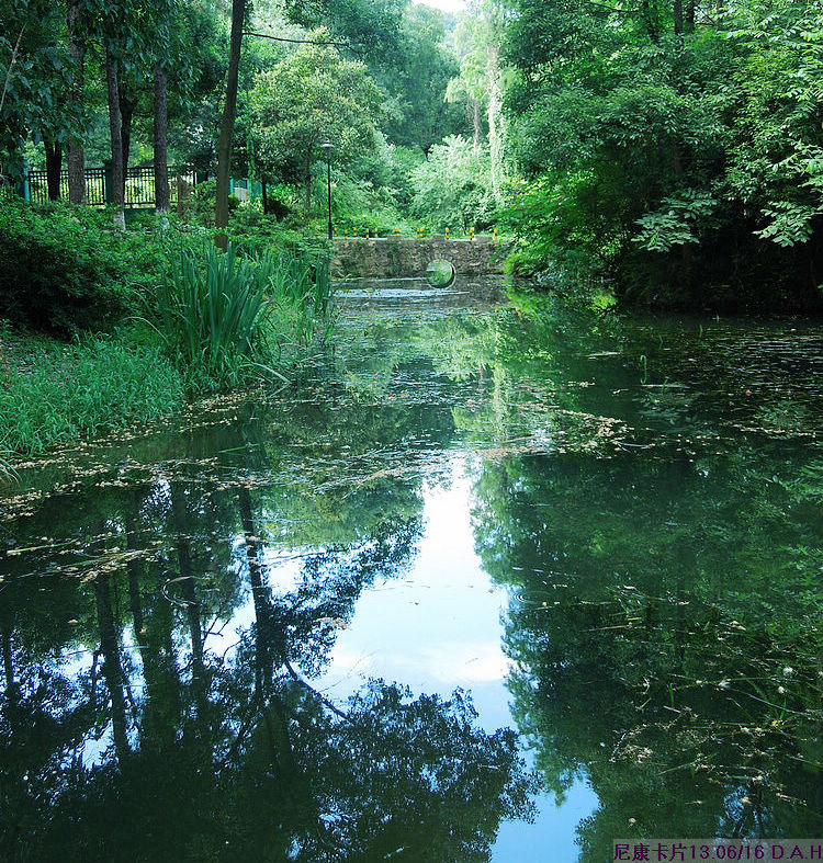 dscn0630.jpg