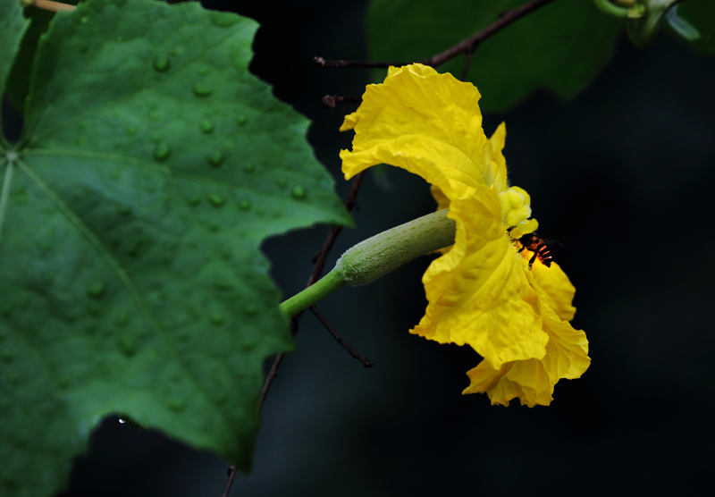 6u0b0629.jpg