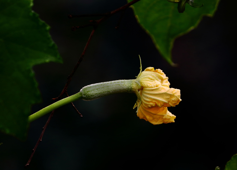 6u0b1295.jpg