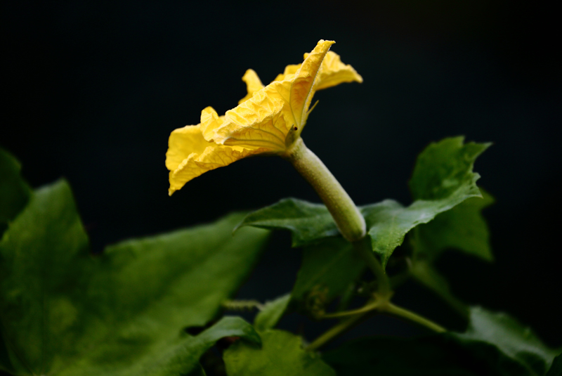 6u0b1310.jpg