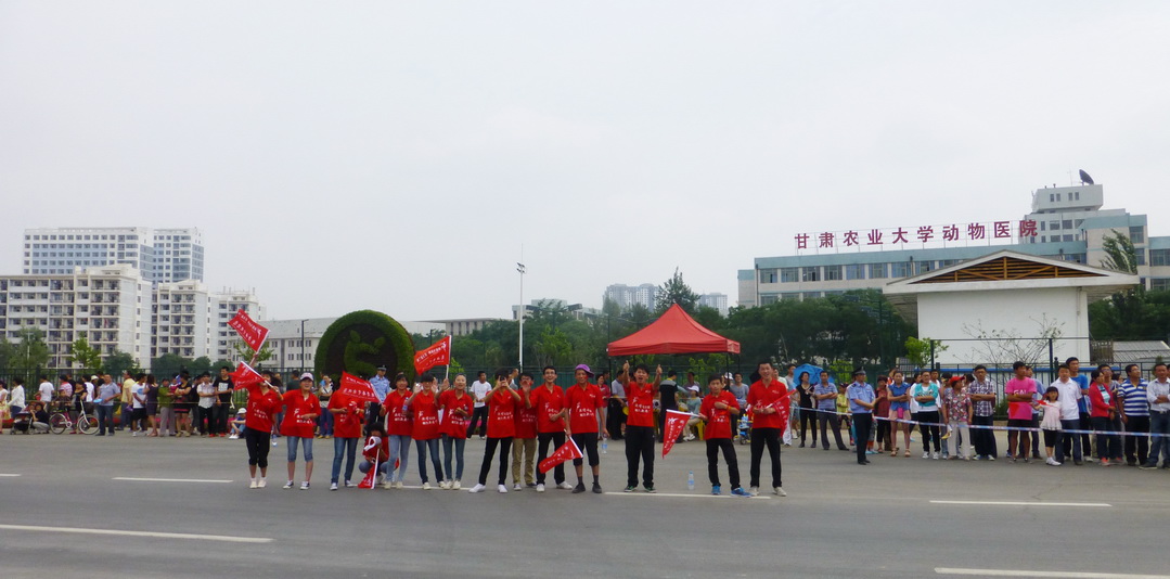 p1080320.jpg
