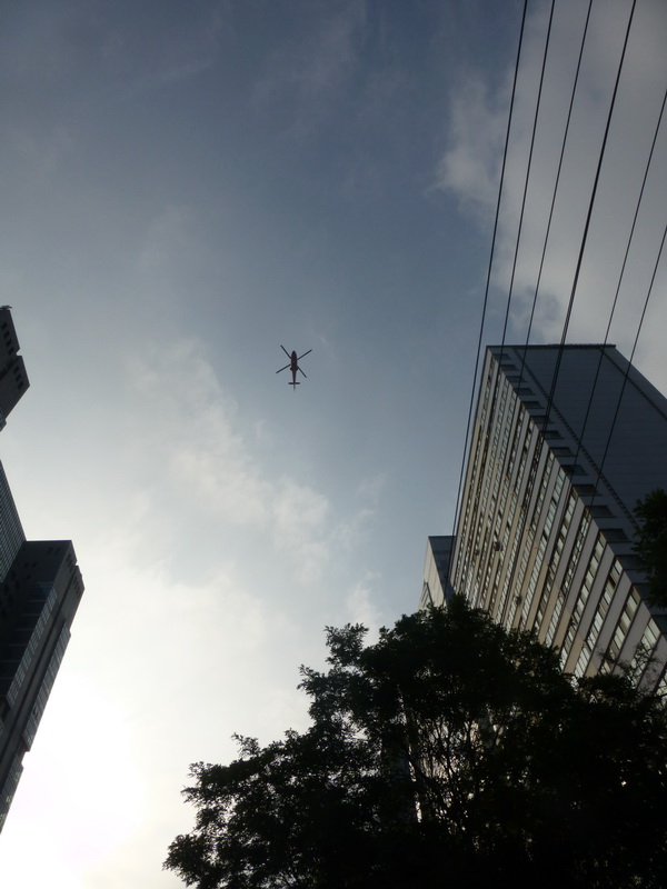 p1080293.jpg