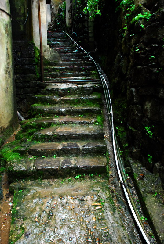 dsc_1182.jpg