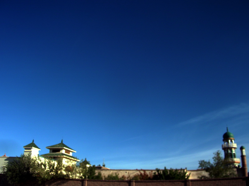 dscf0254.jpg