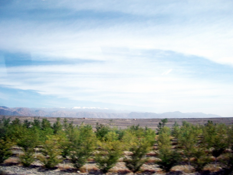 dscf0300.jpg