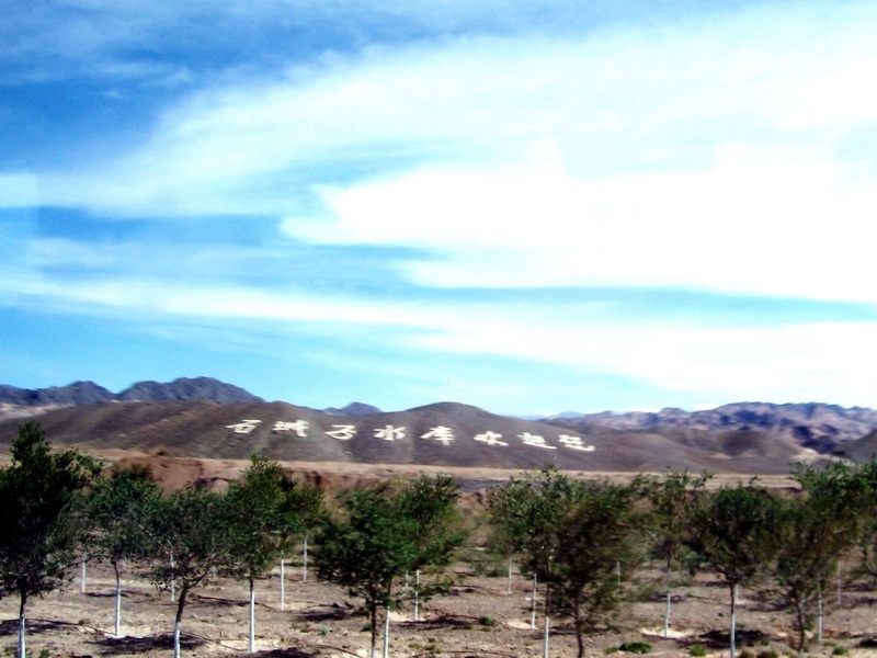 dscf0307.jpg