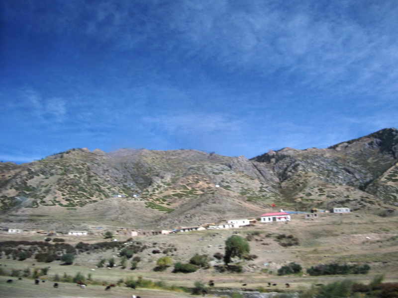 dscf0321.jpg