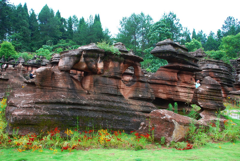 dsc_1513.jpg