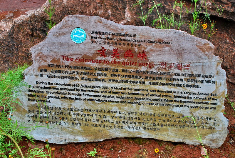 dsc_1520.jpg