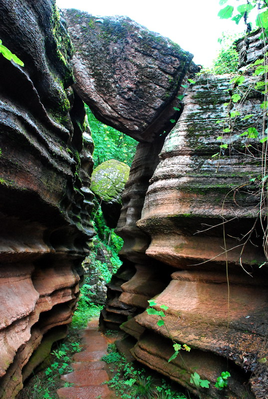 dsc_1541.jpg