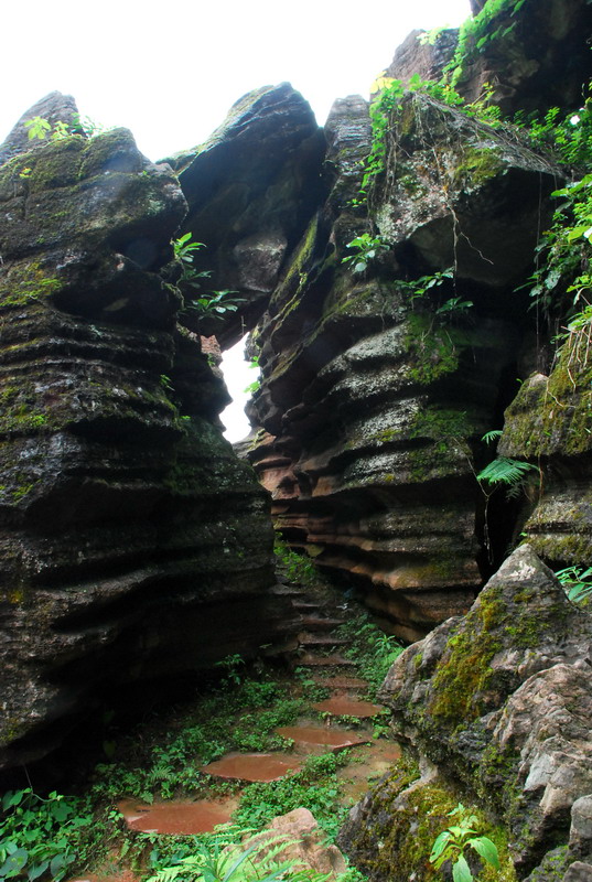dsc_1542.jpg