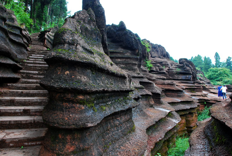 dsc_1580.jpg