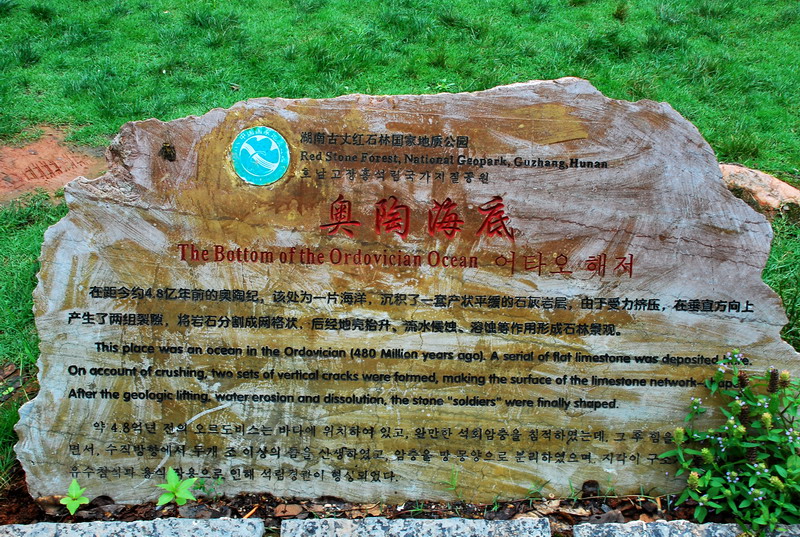 dsc_1593.jpg