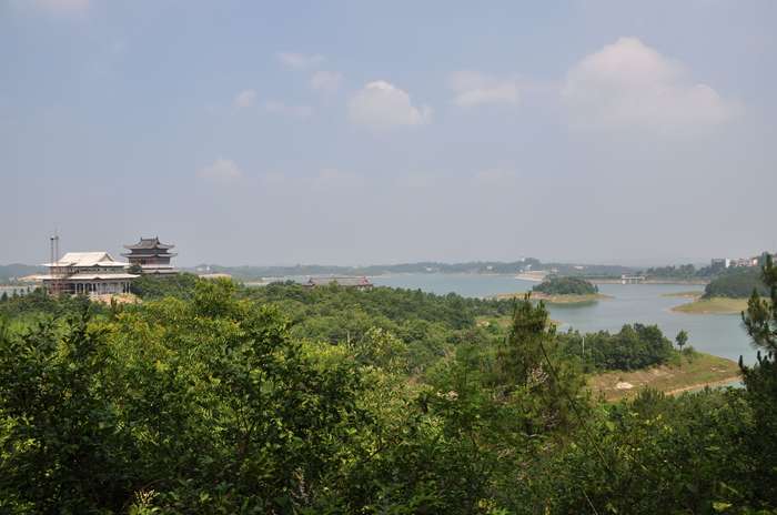 dsc_0118_.jpg