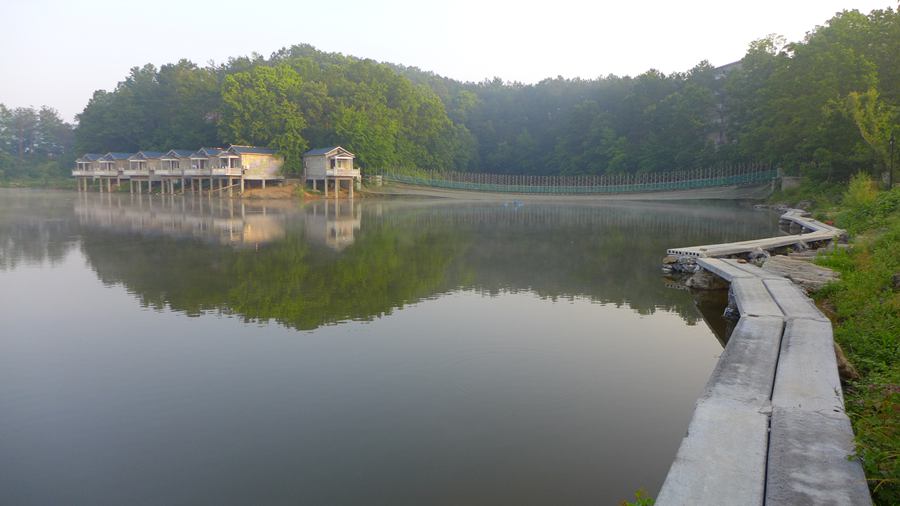 p1130389.jpg