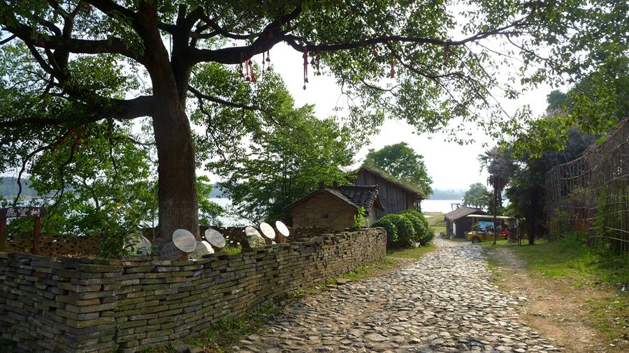 p1130895.jpg