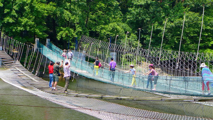 p1130062.jpg