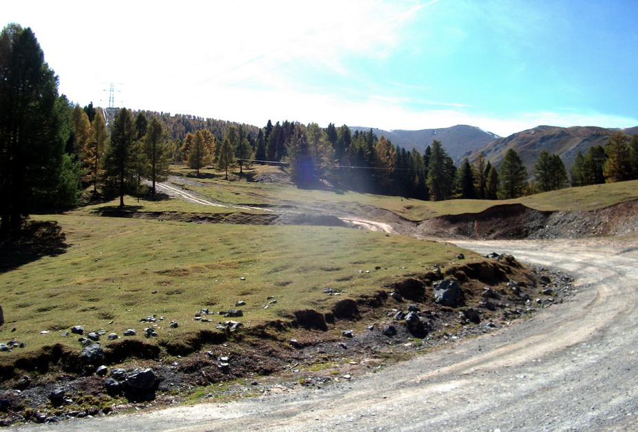 dscf0337.jpg