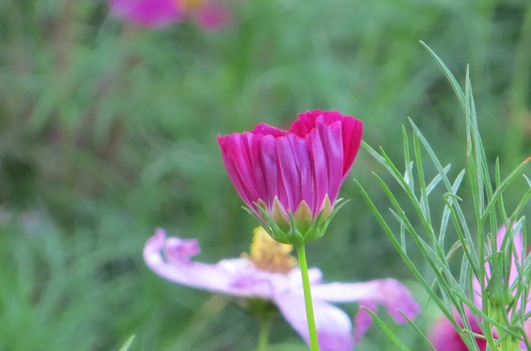 20130617213443.jpg