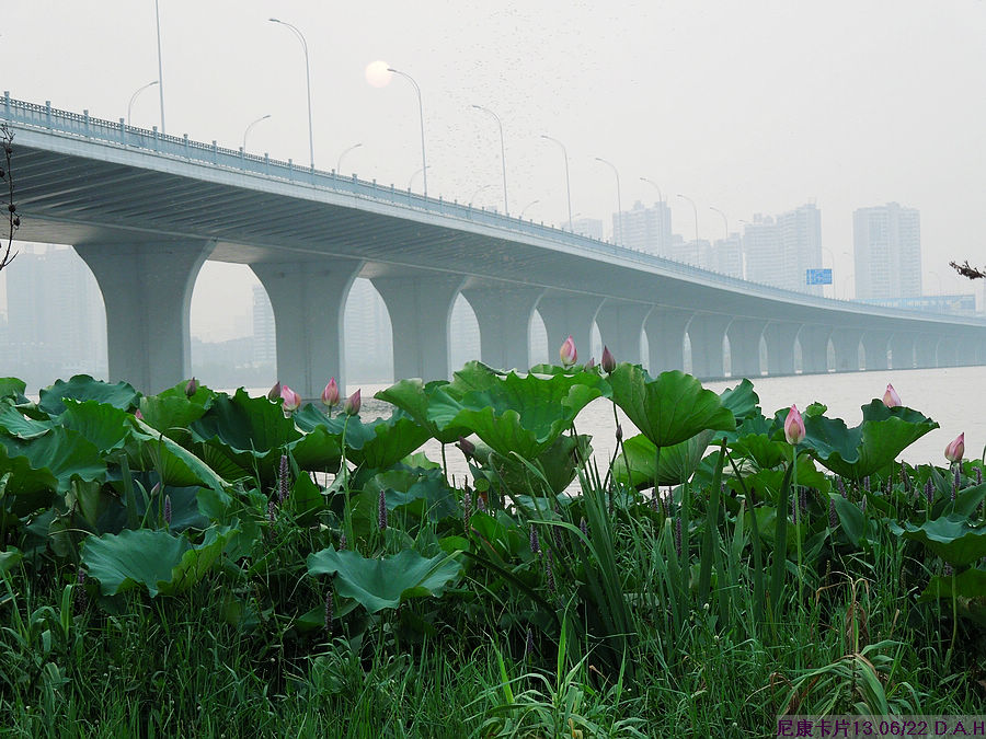 dscn0677.jpg