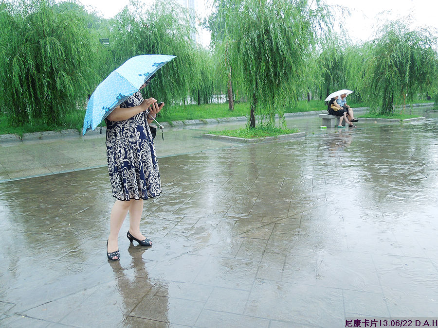 dscn0750.jpg