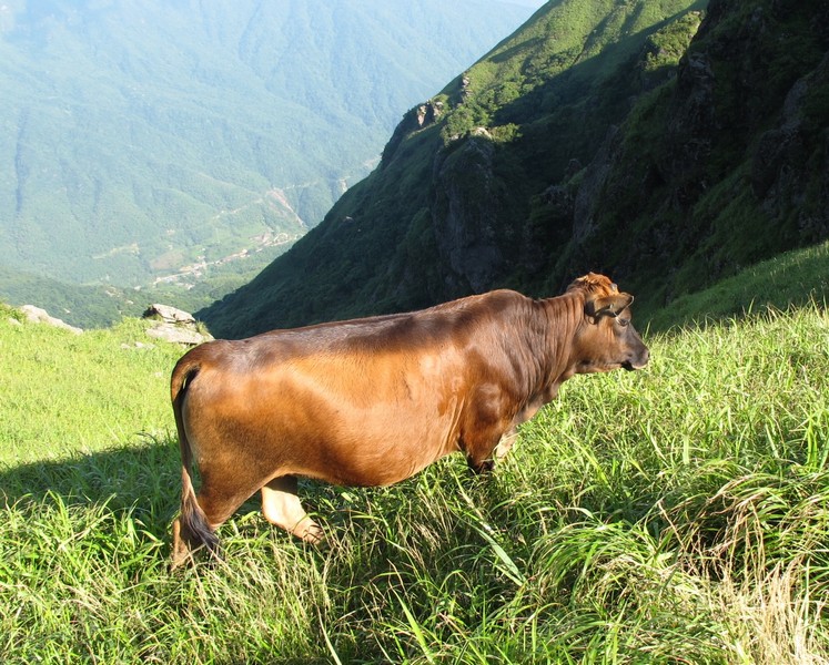 simg_0556.jpg