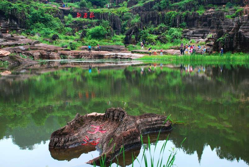 dsc_1714.jpg