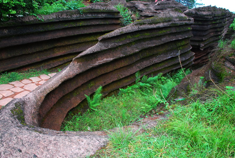 dsc_1885.jpg