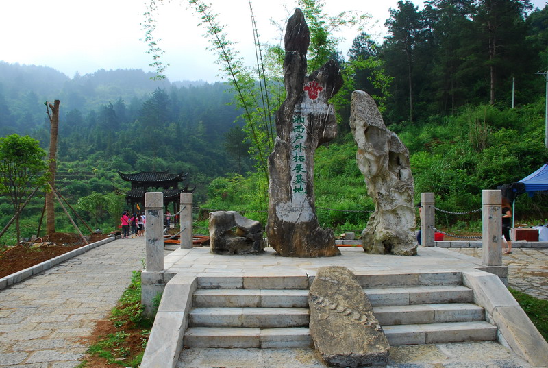 dsc_1980.jpg