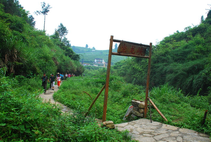 dsc_1985.jpg