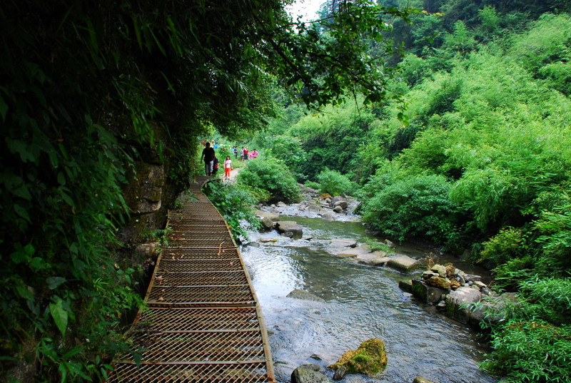 dsc_1987.jpg
