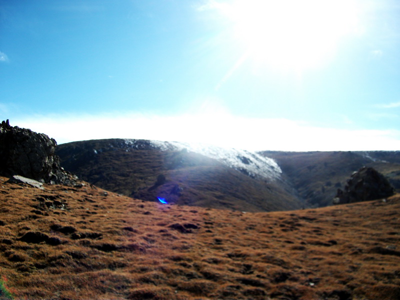 dscf0376.jpg