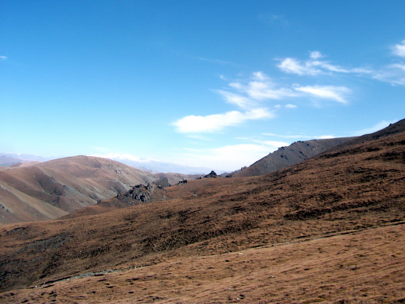 dscf0367.jpg