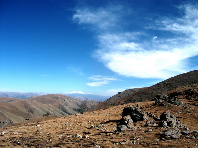 dscf0379.jpg