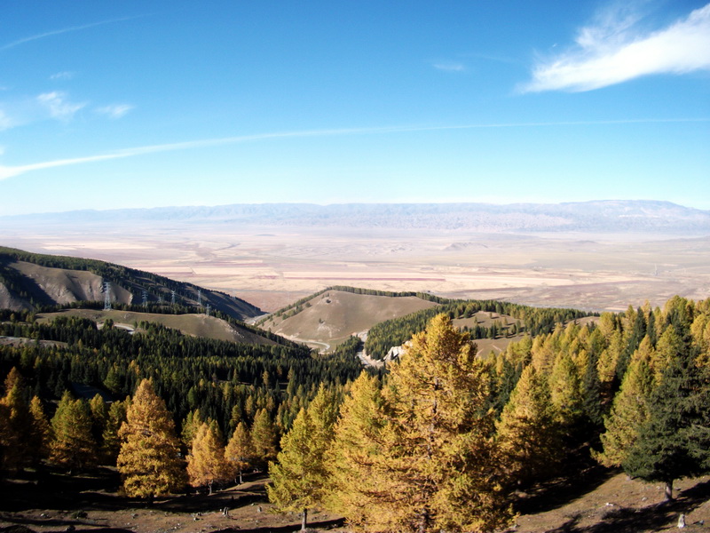 dscf0389.jpg