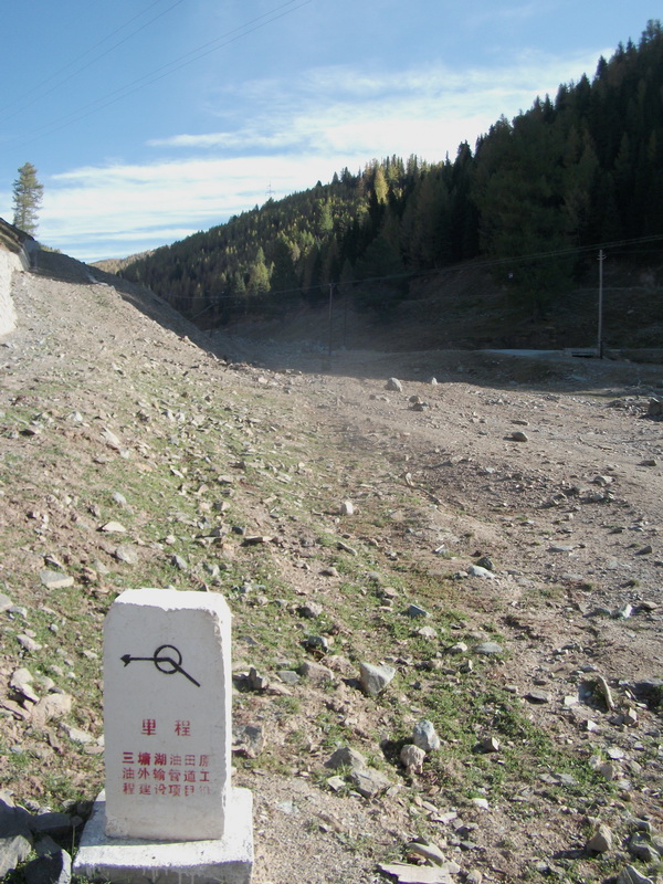 dscf0391.jpg