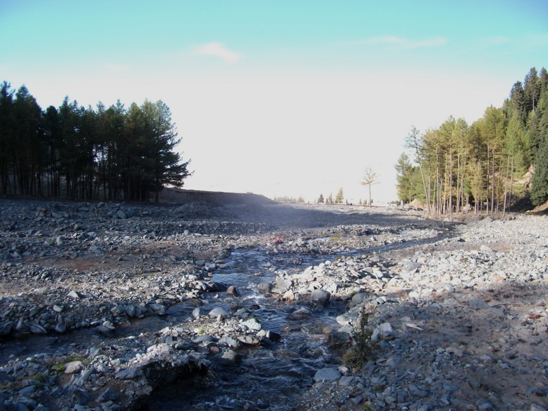 dscf0392.jpg