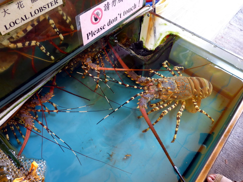 p1040858.jpg