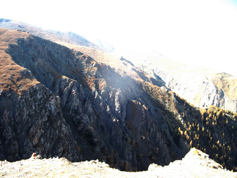 dscf0372.jpg