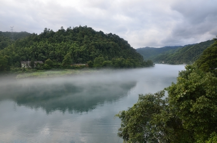 dsc_2984.jpg