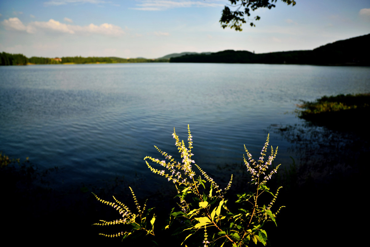 dsc_5255.jpg