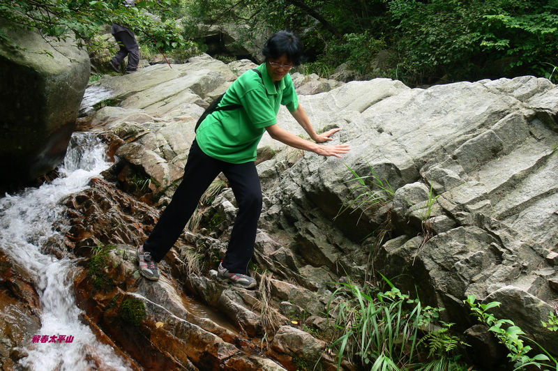 p1270517.jpg