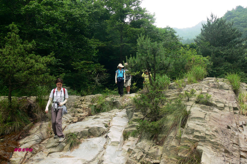 p1270525.jpg