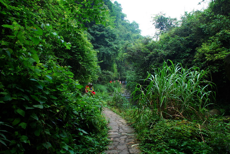 dsc_1990.jpg